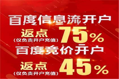 SEM服务在本地化营销中的应用案例